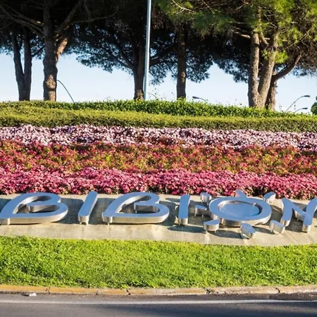 Front With Sea View * Bibione